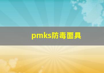 pmks防毒面具