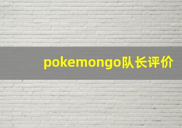 pokemongo队长评价