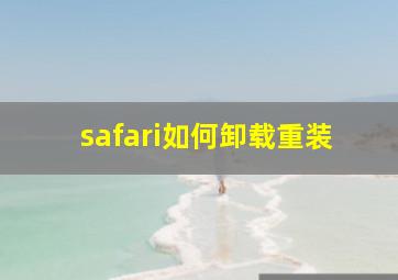 safari如何卸载重装