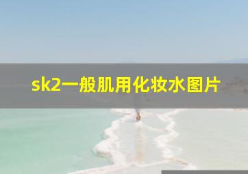 sk2一般肌用化妆水图片