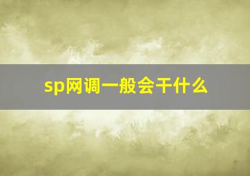 sp网调一般会干什么