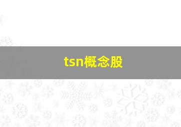 tsn概念股