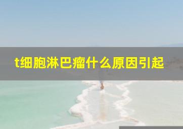 t细胞淋巴瘤什么原因引起