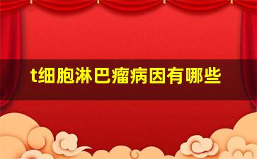 t细胞淋巴瘤病因有哪些