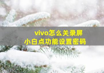 vivo怎么关录屏小白点功能设置密码