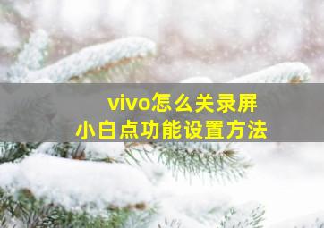 vivo怎么关录屏小白点功能设置方法