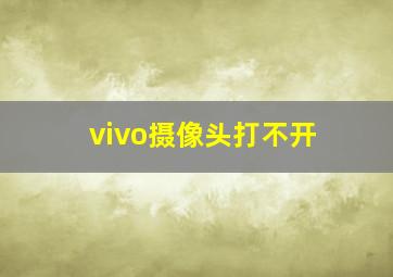 vivo摄像头打不开