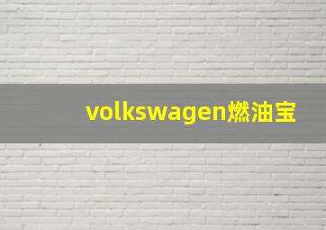 volkswagen燃油宝