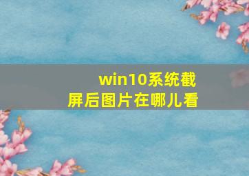 win10系统截屏后图片在哪儿看