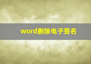 word删除电子签名