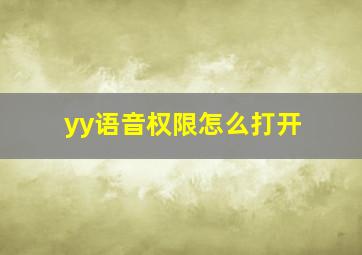 yy语音权限怎么打开