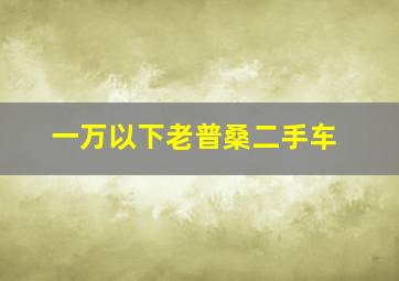 一万以下老普桑二手车