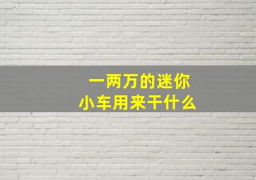 一两万的迷你小车用来干什么