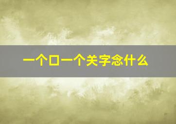 一个口一个关字念什么