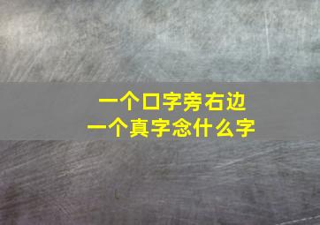 一个口字旁右边一个真字念什么字