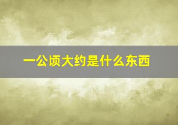 一公顷大约是什么东西