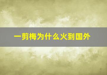 一剪梅为什么火到国外