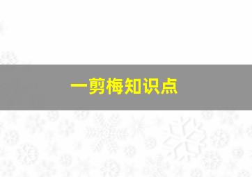 一剪梅知识点