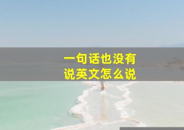 一句话也没有说英文怎么说