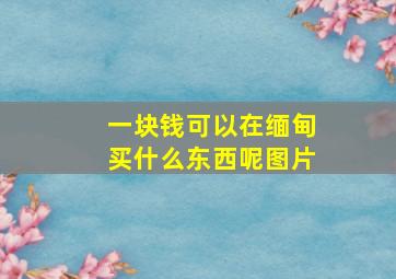 一块钱可以在缅甸买什么东西呢图片