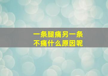 一条腿痛另一条不痛什么原因呢