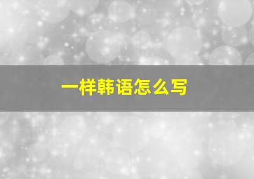 一样韩语怎么写