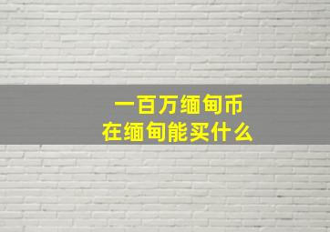 一百万缅甸币在缅甸能买什么