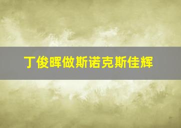 丁俊晖做斯诺克斯佳辉