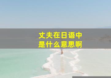 丈夫在日语中是什么意思啊