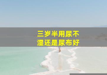 三岁半用尿不湿还是尿布好