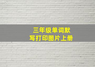 三年级单词默写打印图片上册