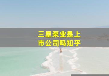 三星泵业是上市公司吗知乎