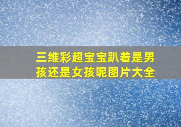 三维彩超宝宝趴着是男孩还是女孩呢图片大全