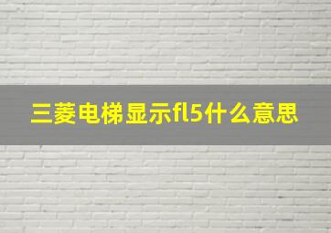 三菱电梯显示fl5什么意思