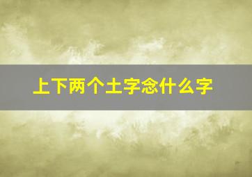 上下两个土字念什么字