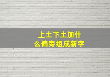 上土下土加什么偏旁组成新字