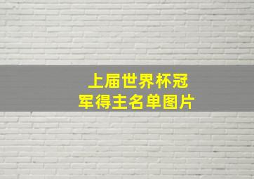 上届世界杯冠军得主名单图片