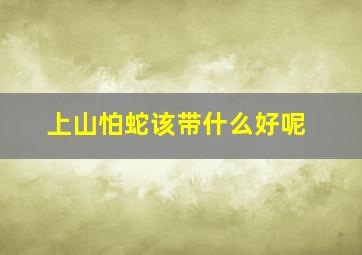 上山怕蛇该带什么好呢