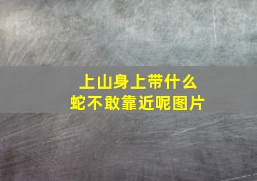 上山身上带什么蛇不敢靠近呢图片