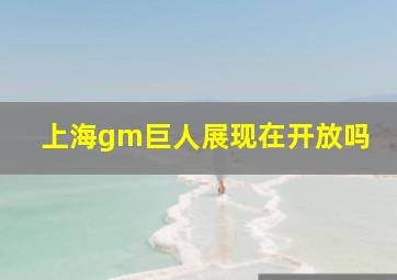 上海gm巨人展现在开放吗