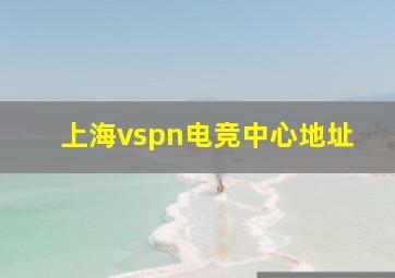 上海vspn电竞中心地址