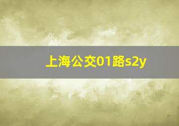 上海公交01路s2y