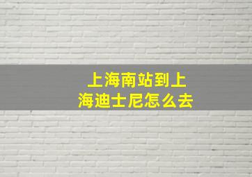 上海南站到上海迪士尼怎么去