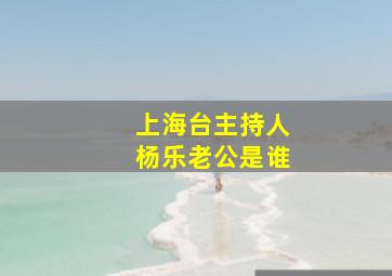 上海台主持人杨乐老公是谁