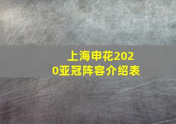 上海申花2020亚冠阵容介绍表