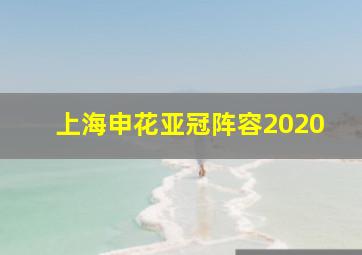 上海申花亚冠阵容2020