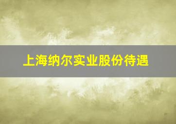 上海纳尔实业股份待遇