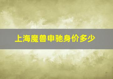 上海魔兽申驰身价多少