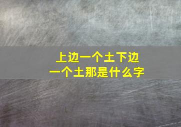 上边一个土下边一个土那是什么字