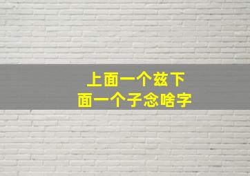 上面一个兹下面一个子念啥字